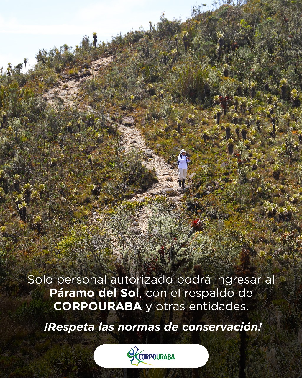 Paisaje de Urrao - Vista panorámica